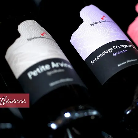 Relais & Chateau Fletschhorn 4* サース フェー
